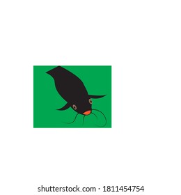 plantilla de icono de ilustración de diseño de vector de bagre
