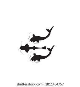 catfish vector design ilustration icon templat
