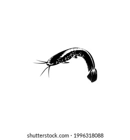 catfish vector icon illustration design template