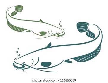 Catfish - vector illustration