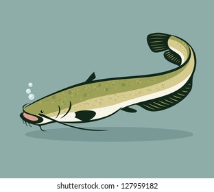Catfish - vector illustration