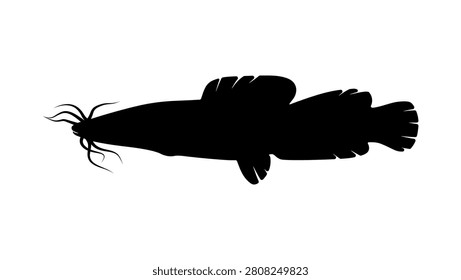Catfish vundu, black isolated vector silhouette