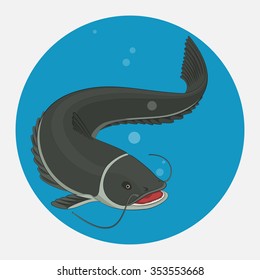 Catfish in the water