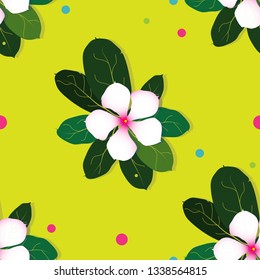 Catharanthus roseus flower seamless vector pattern wavy black line on yellwo background-Madagascar periwinkle, rose periwinkle vector