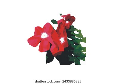 Catharanthus roseus also known as bright eyes, Cape periwinkle, graveyard plant, Madagascar periwinkle illustration victor