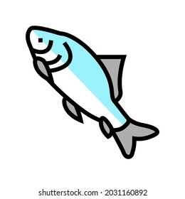 catla catla fish color icon vector. catla catla fish sign. isolated symbol illustration