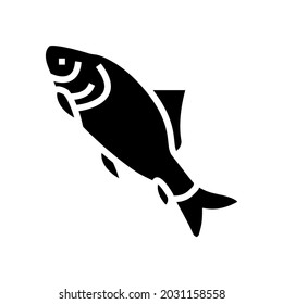 catla catla fish glyph icon vector. catla catla fish sign. isolated contour symbol black illustration