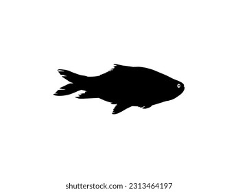 Catla or Katla Fish, also known as the major South Asian Carp, Silhouette for Icon, Symbol, Logo Type, Pictogram, Apps, Website or Graphic Design Element. Vector Illustration