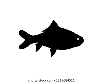 Catla or Katla Fish, also known as the major South Asian Carp, Silhouette for Icon, Symbol, Logo Type, Pictogram, Apps, Website or Graphic Design Element. Vector Illustration