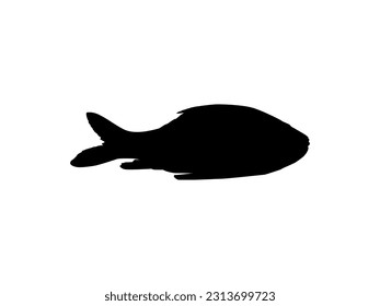 Catla o Katla Fish, también conocido como la mayor carpa del sur de Asia, silueta para icono, símbolo, tipo de logotipo, pictograma, aplicaciones, sitio web o elemento de diseño gráfico. Ilustración vectorial