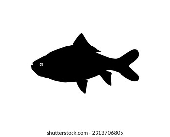 Catla or Katla Fish, also known as the major South Asian Carp, Silhouette for Icon, Symbol, Logo Type, Pictogram, Apps, Website or Graphic Design Element. Vector Illustration