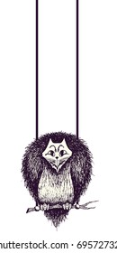 Cat-like owl hanging