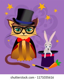 Cat-magician in a hat.
