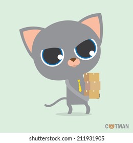 catman series pickup box