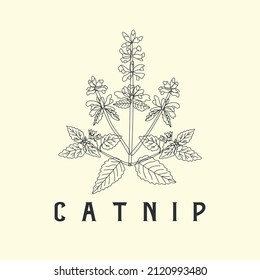 catnip line art illustration vector drawing engraving leaf vintage medical health flower nature