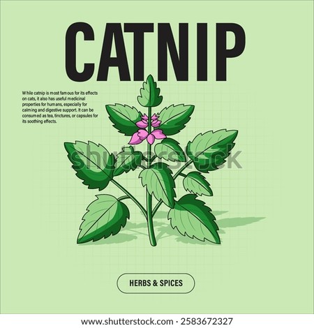 Catnip Premium Vector Clipart High-Quality Illustration for Cooking Branding and Packaging