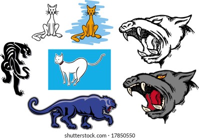 Cats