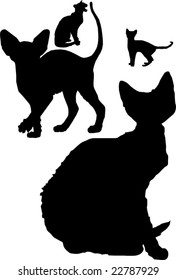 Cats