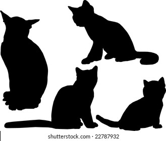 Cats