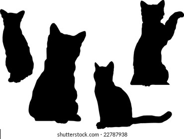 Cats