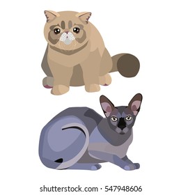 cats
