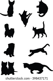 cats 7