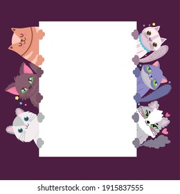 cats adorable cute animals domestic feline with banner vector illustration
