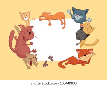 Cats around the frame