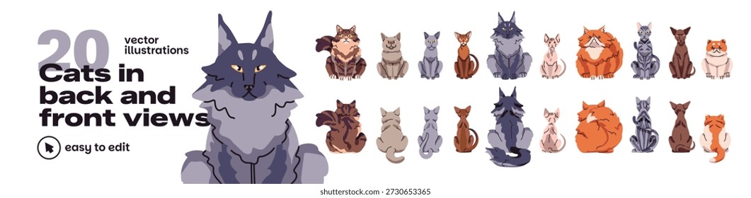 Gatos para trás e frentes conjunto de vistas. Várias raças de gatinhos - maine coon, sphynx, persa e britânica. Sentados e virando os animais de estimação. Animais de diferentes lados. Ilustrações vetoriais isoladas planas no branco