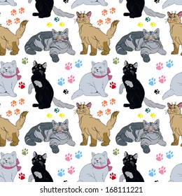 Cats background