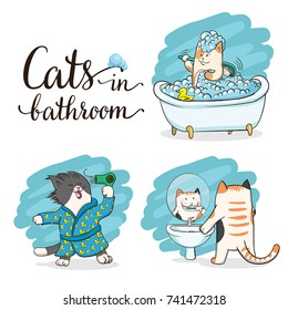 Cats in bathroom