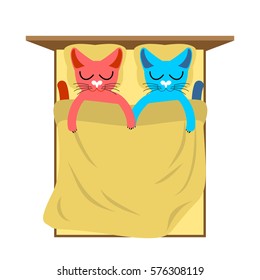 Cats in bed. Cute cat sleeping love. Lover holiday14 February. Valentines Day 