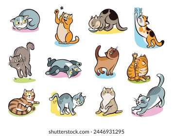 Cats behavior. Cute pets of different colors and breeds. Domestic animals play or wash fur. Relaxing happy mammals. Kitten mark territory and sharpen their claws