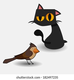 Cats & Birds