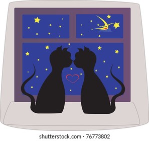 cats black falling in love