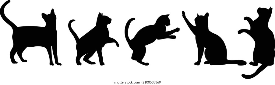 cats black silhouette, set, isolated, vector