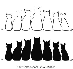Katzen, schwarz-weiß, süß