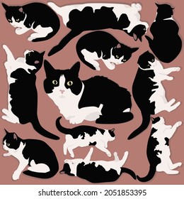 The cats are black and white. Domestic cats vector. The cat lies in different ways.