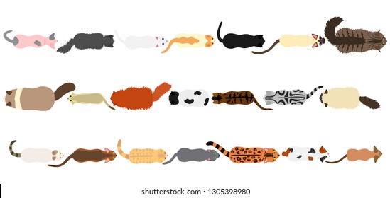 cats border set