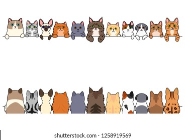 cats border set, front side and back side