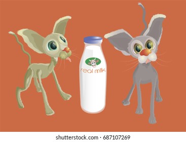 Cats and a bottle of milk. Vector illustration of two cats wishing for natural milk.