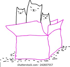 cats in the box