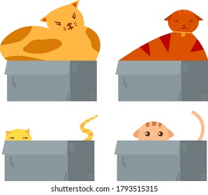 Cats in the box illustrations group. Cute pets flat design. Vector animals. 