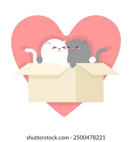 Cats in box love. Pet in cardboard box. House for cat.