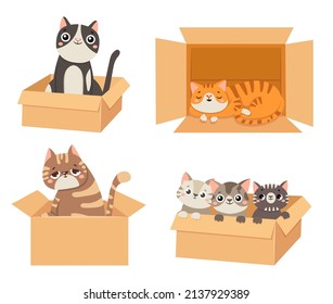 Cats in boxes. Animals sitting and sleeping in cardboard boxes. Little kittens looking out. Fluffy cute pet characters of different colors. Funny domestic animals isolated vector set