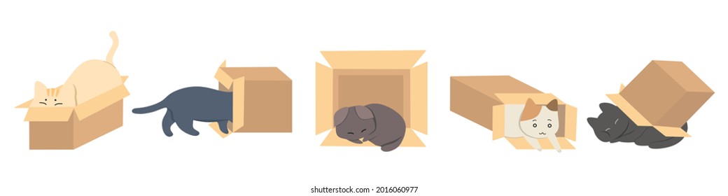 Cats in boxes. Cute stickers with cat sitting, sleeping and playing in cardboard box. Cute funny cat character in different poses with box. Vector flat cartoon character isolated illustration