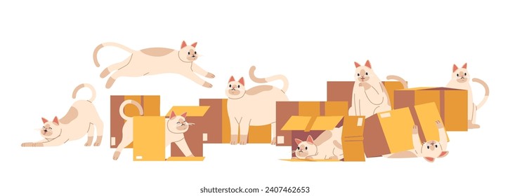 Cats And Boxes, Feline Fascination With Cardboard Realms. Pets Play, Pouncing, And Hideaways. Boxes Spark Joy