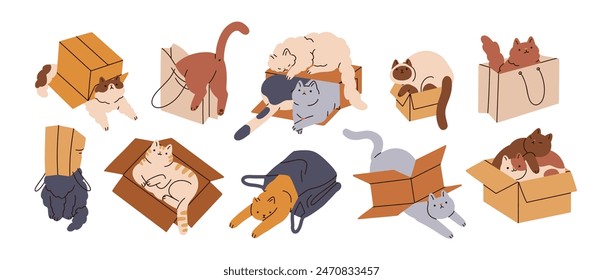 Cats in boxes set. Cute funny kitties in cardboard cartons and paper bags. Feline pets hiding in packages, lying inside. Curious animals. Flat graphic vector illustration isolated on white background