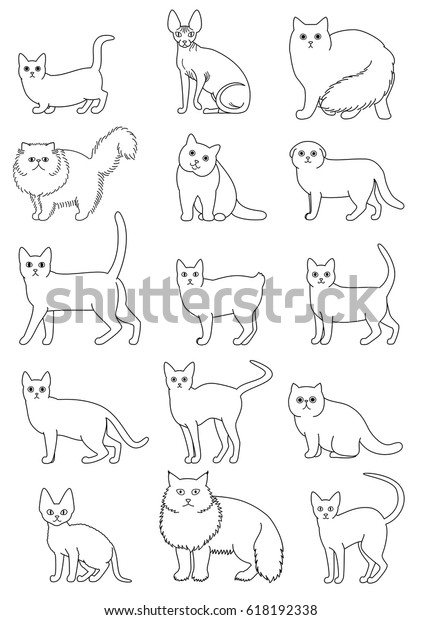 Cats Breeds Set Line Art Stock Vector (Royalty Free) 618192338