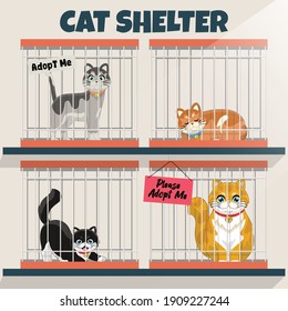 Cats In The Cage In The Cat Shelter